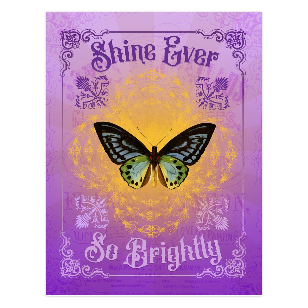 Shine Ever So Brightly Blank Greeting Card